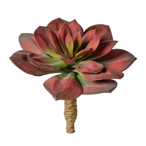 RAMO PIANTA GRASSA VERDE CM22